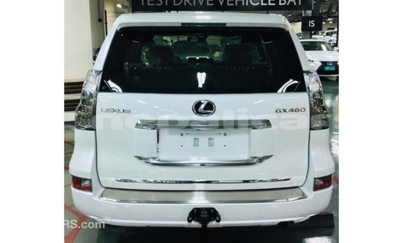 Buy Import Lexus GX White Car in Import - Dubai in Bagmati Buy Import Lexus GX White Car in Import - Dubai in Bagmati