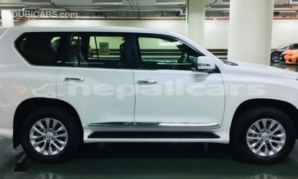 Buy Import Lexus GX White Car in Import - Dubai in Bagmati Buy Import Lexus GX White Car in Import - Dubai in Bagmati