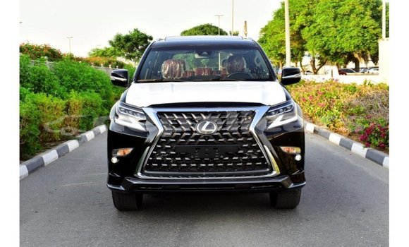 Buy Import Lexus GX Black Car in Import - Dubai in Bagmati Buy Import Lexus GX Black Car in Import - Dubai in Bagmati