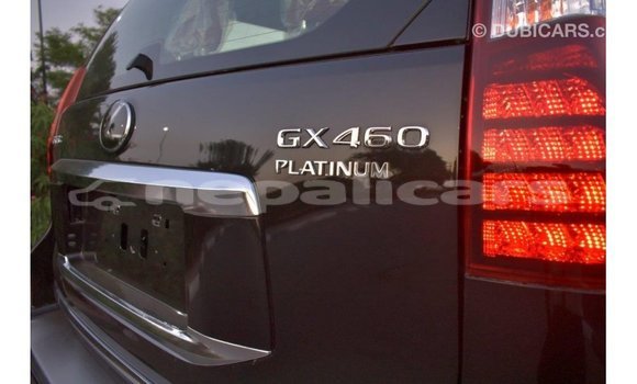 Buy Import Lexus GX Black Car in Import - Dubai in Bagmati Buy Import Lexus GX Black Car in Import - Dubai in Bagmati