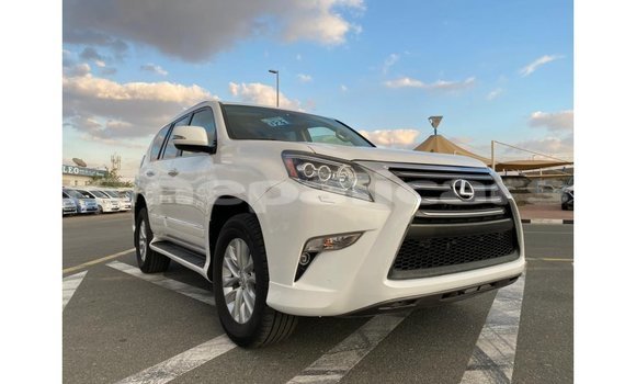 Buy Import Lexus GX White Car in Import - Dubai in Bagmati Buy Import Lexus GX White Car in Import - Dubai in Bagmati