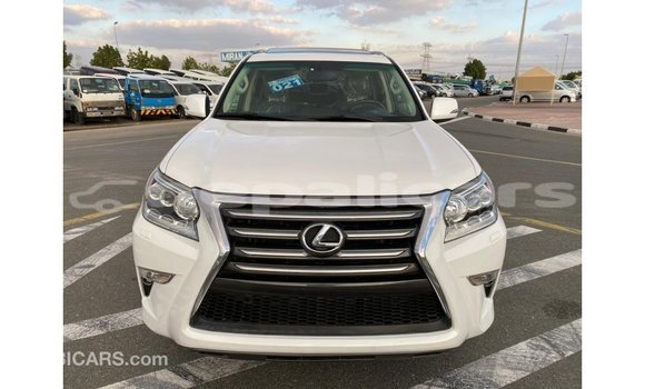 Buy Import Lexus GX White Car in Import - Dubai in Bagmati Buy Import Lexus GX White Car in Import - Dubai in Bagmati