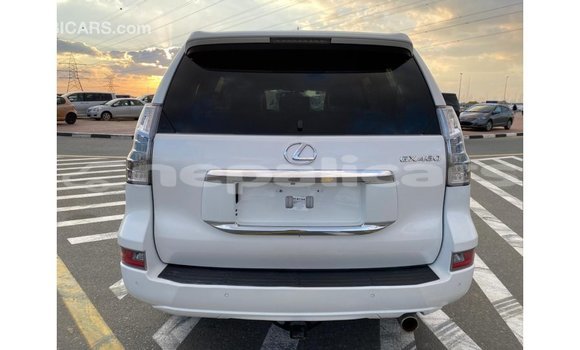 Buy Import Lexus GX White Car in Import - Dubai in Bagmati Buy Import Lexus GX White Car in Import - Dubai in Bagmati