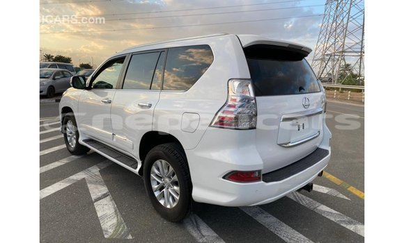 Buy Import Lexus GX White Car in Import - Dubai in Bagmati Buy Import Lexus GX White Car in Import - Dubai in Bagmati