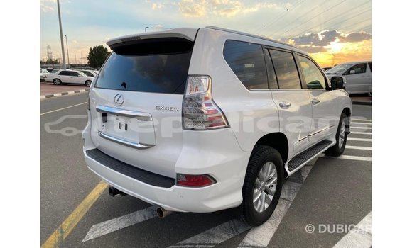 Buy Import Lexus GX White Car in Import - Dubai in Bagmati Buy Import Lexus GX White Car in Import - Dubai in Bagmati