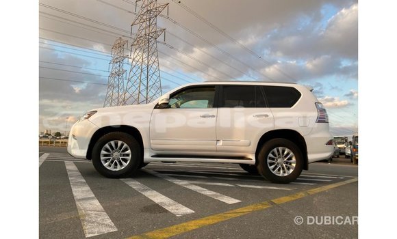 Buy Import Lexus GX White Car in Import - Dubai in Bagmati Buy Import Lexus GX White Car in Import - Dubai in Bagmati