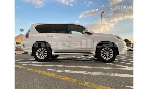 Buy Import Lexus GX White Car in Import - Dubai in Bagmati Buy Import Lexus GX White Car in Import - Dubai in Bagmati