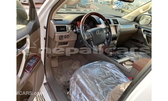 Buy Import Lexus GX White Car in Import - Dubai in Bagmati Buy Import Lexus GX White Car in Import - Dubai in Bagmati