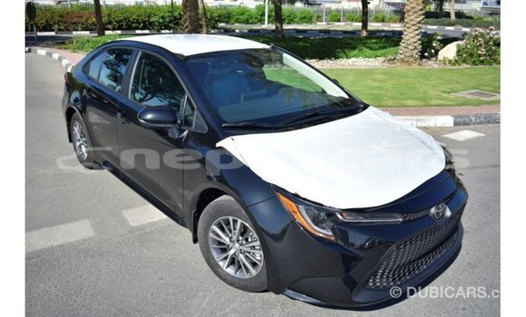 Buy Import Toyota Corolla Black Car in Import - Dubai in Bagmati Buy Import Toyota Corolla Black Car in Import - Dubai in Bagmati