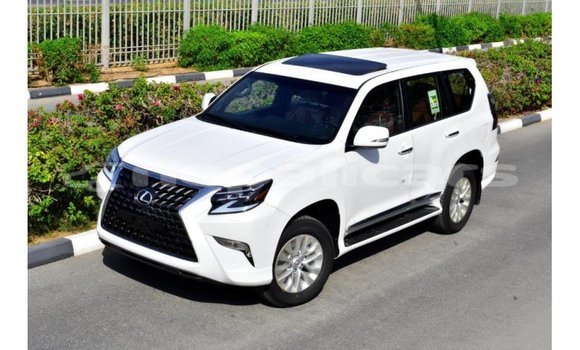 Buy Import Lexus GX White Car in Import - Dubai in Bagmati Buy Import Lexus GX White Car in Import - Dubai in Bagmati
