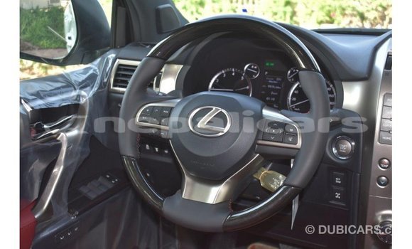 Buy Import Lexus GX White Car in Import - Dubai in Bagmati Buy Import Lexus GX White Car in Import - Dubai in Bagmati