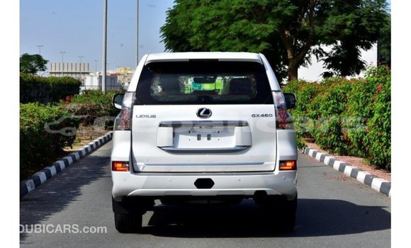 Buy Import Lexus GX White Car in Import - Dubai in Bagmati Buy Import Lexus GX White Car in Import - Dubai in Bagmati