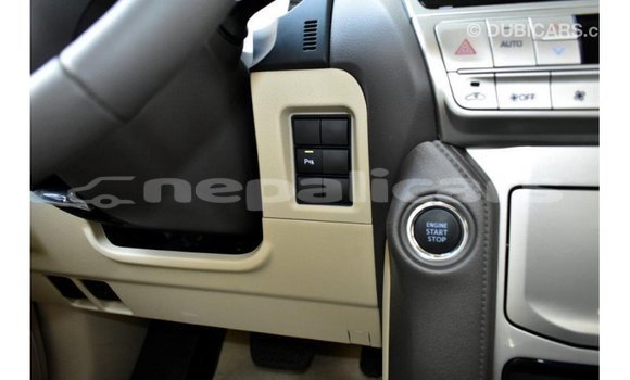 Buy Import Toyota Prado Black Car in Import - Dubai in Bagmati Buy Import Toyota Prado Black Car in Import - Dubai in Bagmati