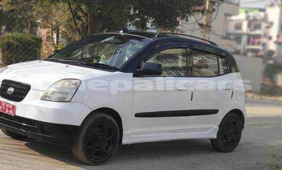 Buy Used Kia Picanto White Car in Kathmandu in Bagmati