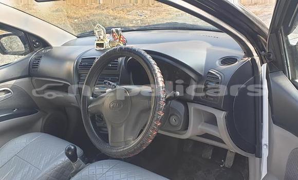 Buy Used Kia Picanto White Car in Kathmandu in Bagmati Buy Used Kia Picanto White Car in Kathmandu in Bagmati