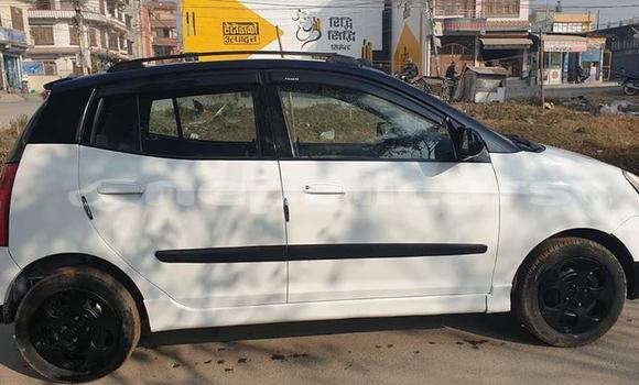 Buy Used Kia Picanto White Car in Kathmandu in Bagmati Buy Used Kia Picanto White Car in Kathmandu in Bagmati