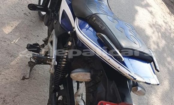 Buy Used Bajaj PULSAR Blue Bike in Kathmandu in Bagmati Buy Used Bajaj PULSAR Blue Bike in Kathmandu in Bagmati