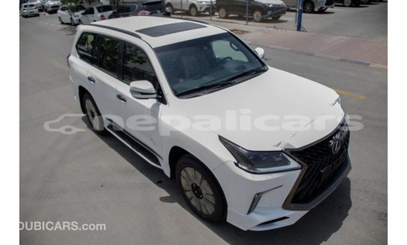 Buy Import Lexus LX White Car in Import - Dubai in Bagmati Buy Import Lexus LX White Car in Import - Dubai in Bagmati