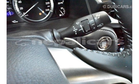 Buy Import Lexus LX Black Car in Import - Dubai in Bagmati Buy Import Lexus LX Black Car in Import - Dubai in Bagmati