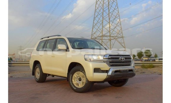 Buy Import Toyota Land Cruiser White Car in Import - Dubai in Bagmati Buy Import Toyota Land Cruiser White Car in Import - Dubai in Bagmati