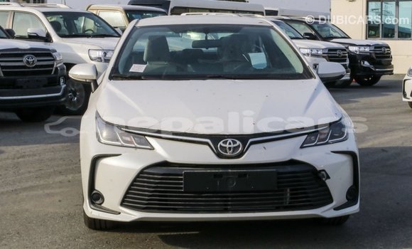 Buy Import Toyota Corolla White Car in Import - Dubai in Bagmati Buy Import Toyota Corolla White Car in Import - Dubai in Bagmati