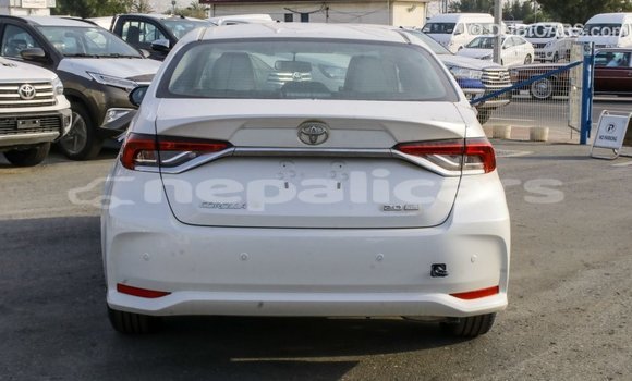 Buy Import Toyota Corolla White Car in Import - Dubai in Bagmati Buy Import Toyota Corolla White Car in Import - Dubai in Bagmati