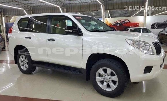 Buy Import Toyota Prado White Car in Import - Dubai in Bagmati Buy Import Toyota Prado White Car in Import - Dubai in Bagmati