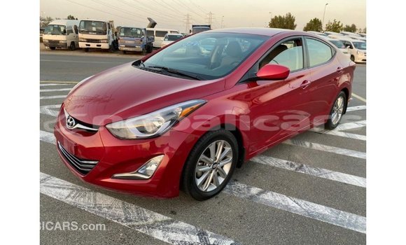 Buy Import Hyundai Elantra Red Car in Import - Dubai in Bagmati Buy Import Hyundai Elantra Red Car in Import - Dubai in Bagmati
