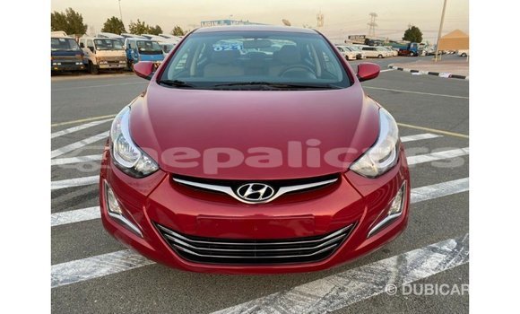 Buy Import Hyundai Elantra Red Car in Import - Dubai in Bagmati Buy Import Hyundai Elantra Red Car in Import - Dubai in Bagmati