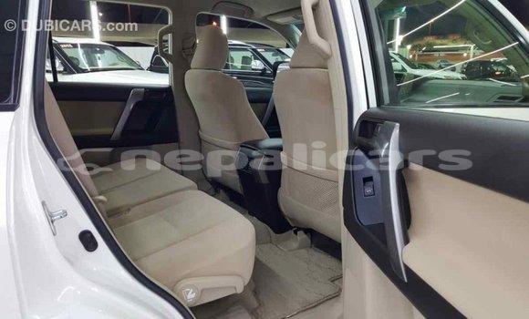 Buy Import Toyota Prado White Car in Import - Dubai in Bagmati Buy Import Toyota Prado White Car in Import - Dubai in Bagmati