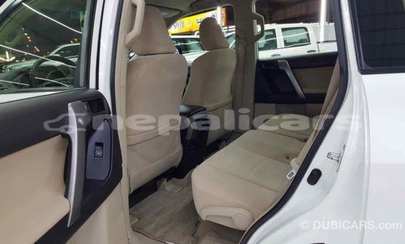Buy Import Toyota Prado White Car in Import - Dubai in Bagmati Buy Import Toyota Prado White Car in Import - Dubai in Bagmati