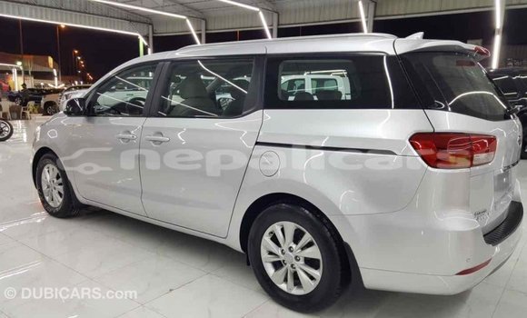 Buy Import Kia Carnival Other Car in Import - Dubai in Bagmati Buy Import Kia Carnival Other Car in Import - Dubai in Bagmati