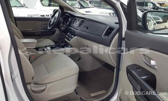 Buy Import Kia Carnival Other Car in Import - Dubai in Bagmati Buy Import Kia Carnival Other Car in Import - Dubai in Bagmati
