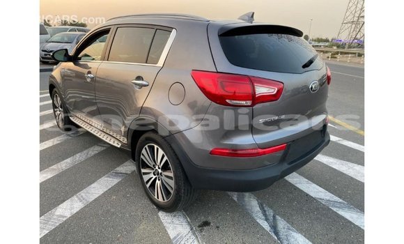 Buy Import Kia Sportage Other Car in Import - Dubai in Bagmati Buy Import Kia Sportage Other Car in Import - Dubai in Bagmati