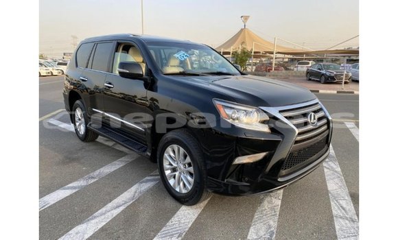 Buy Import Lexus GX Black Car in Import - Dubai in Bagmati Buy Import Lexus GX Black Car in Import - Dubai in Bagmati