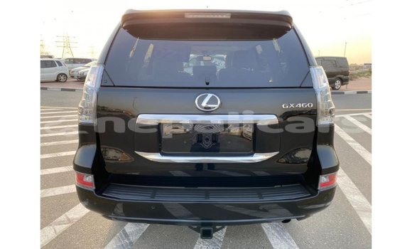 Buy Import Lexus GX Black Car in Import - Dubai in Bagmati Buy Import Lexus GX Black Car in Import - Dubai in Bagmati