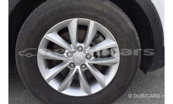 Buy Import Kia Sorento White Car in Import - Dubai in Bagmati