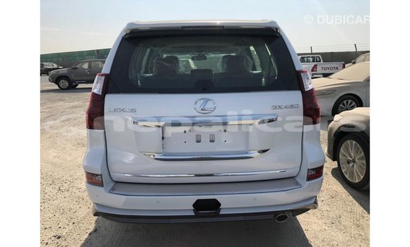 Buy Import Lexus GX White Car in Import - Dubai in Bagmati Buy Import Lexus GX White Car in Import - Dubai in Bagmati