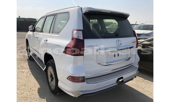 Buy Import Lexus GX White Car in Import - Dubai in Bagmati Buy Import Lexus GX White Car in Import - Dubai in Bagmati