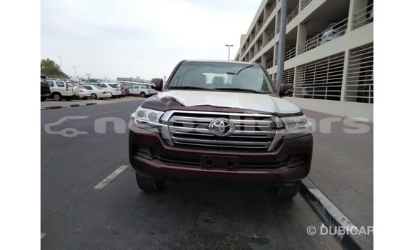 Buy Import Toyota Land Cruiser Brown Car in Import - Dubai in Bagmati Buy Import Toyota Land Cruiser Brown Car in Import - Dubai in Bagmati