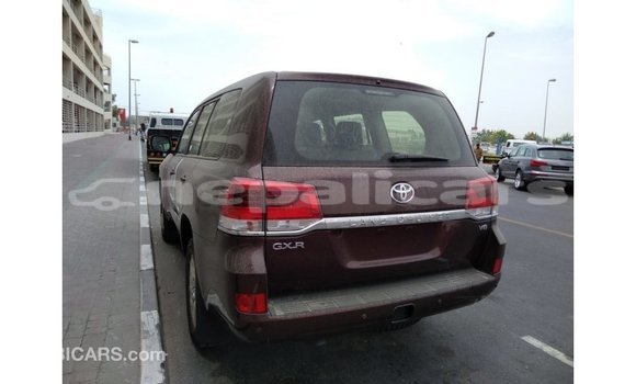 Buy Import Toyota Land Cruiser Brown Car in Import - Dubai in Bagmati Buy Import Toyota Land Cruiser Brown Car in Import - Dubai in Bagmati