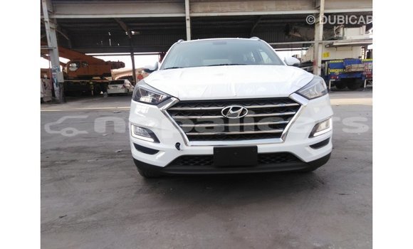Buy Import Hyundai Tucson White Car in Import - Dubai in Bagmati Buy Import Hyundai Tucson White Car in Import - Dubai in Bagmati