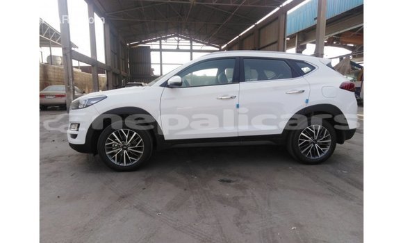 Buy Import Hyundai Tucson White Car in Import - Dubai in Bagmati Buy Import Hyundai Tucson White Car in Import - Dubai in Bagmati