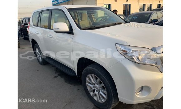 Buy Import Toyota Prado White Car in Import - Dubai in Bagmati Buy Import Toyota Prado White Car in Import - Dubai in Bagmati