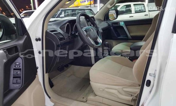 Buy Import Toyota Prado White Car in Import - Dubai in Bagmati Buy Import Toyota Prado White Car in Import - Dubai in Bagmati