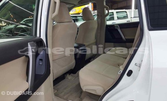 Buy Import Toyota Prado White Car in Import - Dubai in Bagmati Buy Import Toyota Prado White Car in Import - Dubai in Bagmati