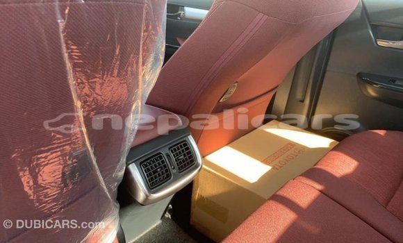 Buy Import Toyota Hilux Other Car in Import - Dubai in Bagmati Buy Import Toyota Hilux Other Car in Import - Dubai in Bagmati