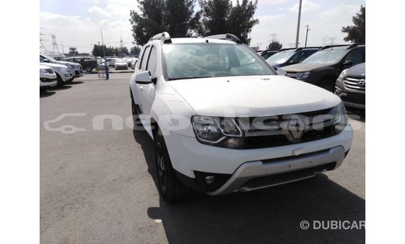 Buy Import Renault Duster White Car in Import - Dubai in Bagmati Buy Import Renault Duster White Car in Import - Dubai in Bagmati