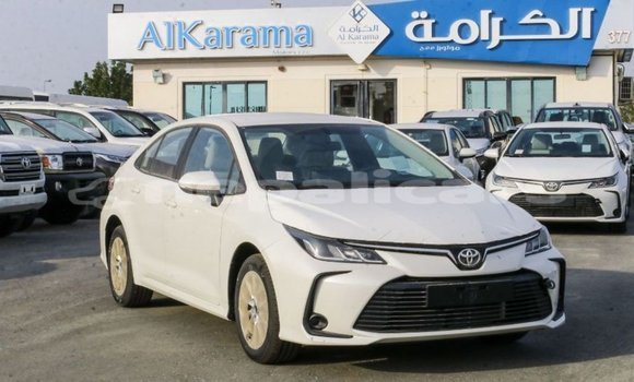 Buy Import Toyota Corolla White Car in Import - Dubai in Bagmati Buy Import Toyota Corolla White Car in Import - Dubai in Bagmati