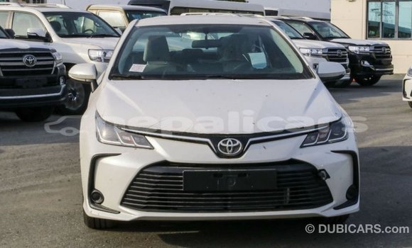 Buy Import Toyota Corolla White Car in Import - Dubai in Bagmati Buy Import Toyota Corolla White Car in Import - Dubai in Bagmati